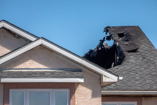 Top rated local Fire Damage Removal specialists in Erwinna, PA